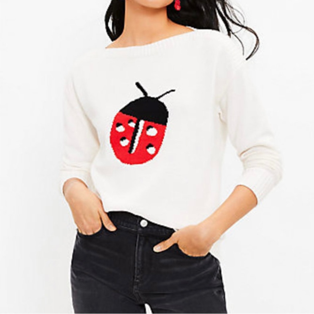 Loft Ladybug sweater. Never been worn.